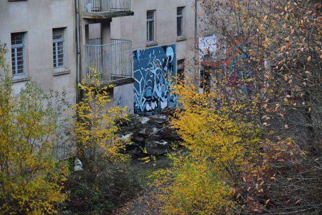DSC_0956